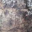 Digital photograph of rock art panel context, Scotland's Rock Art Project, Creag na h-Earpa, Perth and Kinross