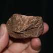 Laboratory photograph, Finds photo, Fordoun Road, Laurencekirk, AB30 1FB