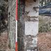 Standing Building Survey photograph, Door D6, Land at Balmuirfield, Balmuir, Strathmartine, Angus