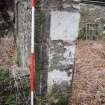 Standing Building Survey photograph, Door D6, Land at Balmuirfield, Balmuir, Strathmartine, Angus