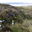 Walkover Survey photograph, View along stone dyke (site 34), Totachocaire Farm Woodland Planting, Dunvegan, Highland