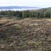 Walkover Survey photograph, Hut circle (site 5a), Totachocaire Farm Woodland Planting, Dunvegan, Highland