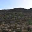Walkover Survey photograph, Hut circle (site 5b), Totachocaire Farm Woodland Planting, Dunvegan, Highland