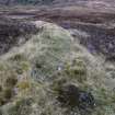 Walkover Survey photograph, Stone dyke and twinning pen (site 6), Totachocaire Farm Woodland Planting, Dunvegan, Highland