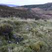 Walkover Survey photograph, Stone dyke and twinning pen (site 6), Totachocaire Farm Woodland Planting, Dunvegan, Highland