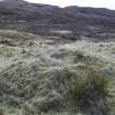 Walkover Survey photograph, Shieling (site 7c), Totachocaire Farm Woodland Planting, Dunvegan, Highland