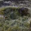 Walkover Survey photograph, Shieling (site 7g), Totachocaire Farm Woodland Planting, Dunvegan, Highland