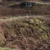 Walkover Survey photograph, Possible stone structures (site 2), Totachocaire Farm Woodland Planting, Dunvegan, Highland
