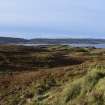 Walkover Survey photograph, Looking over enclosure (site 34b), Totachocaire Farm Woodland Planting, Dunvegan, Highland