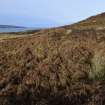 Walkover Survey photograph, View along stone dyke (site 34), Totachocaire Farm Woodland Planting, Dunvegan, Highland