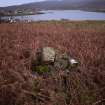 Walkover Survey photograph, Stone cairn (site 25), Totachocaire Farm Woodland Planting, Dunvegan, Highland