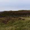 Walkover Survey photograph, Stone structure (site 11), Totachocaire Farm Woodland Planting, Dunvegan, Highland