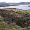 Walkover Survey photograph, Stone structure (site 9b), Totachocaire Farm Woodland Planting, Dunvegan, Highland