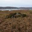Walkover Survey photograph, Stone building (site 13a), Totachocaire Farm Woodland Planting, Dunvegan, Highland