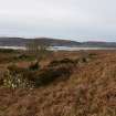 Walkover Survey photograph, Stone building (site 13b), Totachocaire Farm Woodland Planting, Dunvegan, Highland