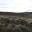Walkover Survey photograph, Area of rig and furrow (site 59), Totachocaire Farm Woodland Planting, Dunvegan, Highland