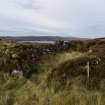 Walkover Survey photograph, Stone structure (Site 14a), Totachocaire Farm Woodland Planting, Dunvegan, Highland