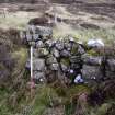 Walkover Survey photograph, Blocked entrance in structure (site 14b), Totachocaire Farm Woodland Planting, Dunvegan, Highland