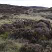 Walkover Survey photograph, Stone structure (site 14b), Totachocaire Farm Woodland Planting, Dunvegan, Highland