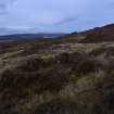 Walkover Survey photograph, Stone structure (site 15), Totachocaire Farm Woodland Planting, Dunvegan, Highland
