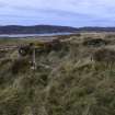 Walkover Survey photograph, Stone structure and kaleyard (site 16a-b), Totachocaire Farm Woodland Planting, Dunvegan, Highland