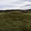 Walkover Survey photograph, Possible clearance cairn (site 17b), Totachocaire Farm Woodland Planting, Dunvegan, Highland