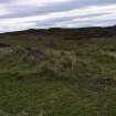 Walkover Survey photograph, Possible clearance cairn (site 17c), Totachocaire Farm Woodland Planting, Dunvegan, Highland