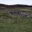 Walkover Survey photograph, Possible clearance cairn (site 17d), Totachocaire Farm Woodland Planting, Dunvegan, Highland