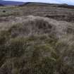 Walkover Survey photograph, Possible structure (site 18), Totachocaire Farm Woodland Planting, Dunvegan, Highland