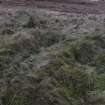 Walkover Survey photograph, Possible shieling site (site 19a), Totachocaire Farm Woodland Planting, Dunvegan, Highland
