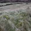Walkover Survey photograph, Possible shieling site (site 19b), Totachocaire Farm Woodland Planting, Dunvegan, Highland