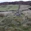 Walkover Survey photograph, View along stone dyke (site 47) with turf dyke (site 46) in foreground, Totachocaire Farm Woodland Planting, Dunvegan, Highland