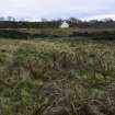 Walkover Survey photograph, Overlooking modern fenced sheep fank, Totachocaire Farm Woodland Planting, Dunvegan, Highland