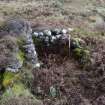 Walkover Survey photograph, Twinning pen built into structure (site 23), Totachocaire Farm Woodland Planting, Dunvegan, Highland