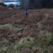 Walkover Survey photograph, Possible structure (site 24), Totachocaire Farm Woodland Planting, Dunvegan, Highland