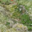 Walkover Survey photograph, Site 105, Hoy to Orkney Mainland Cable Shore Ends, Orkney