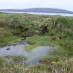 Walkover Survey photograph, Site 104, showing pool upstream, Hoy to Orkney Mainland Cable Shore Ends, Orkney