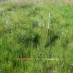 Walkover Survey photograph, Site 201, Hoy to Orkney Mainland Cable Shore Ends, Orkney