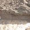 Evaluation photograph, West facing section taken from W (Trench 6), Knockroom Farm, Cumnock, East Ayrshire