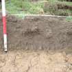 Evaluation photograph, West facing section taken from W (Trench 12), Knockroom Farm, Cumnock, East Ayrshire