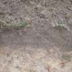 Evaluation photograph, West facing section taken from W (Trench 15), Knockroom Farm, Cumnock, East Ayrshire