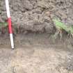 Evaluation photograph, North-east facing section taken from NE (Trench 16), Knockroom Farm, Cumnock, East Ayrshire