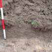 Evaluation photograph, West facing section taken from W (Trench 20), Knockroom Farm, Cumnock, East Ayrshire