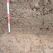 Evaluation photograph, East facing section taken from E (Trench 23), Knockroom Farm, Cumnock, East Ayrshire