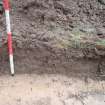 Evaluation photograph, North-east facing section taken from NW (Trench 25), Knockroom Farm, Cumnock, East Ayrshire