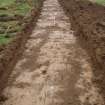 Evaluation photograph, Post-excavation (Trench), Knockroom Farm, Cumnock, East Ayrshire
