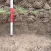 Evaluation photograph, West facing section taken from W (Trench 28), Knockroom Farm, Cumnock, East Ayrshire