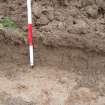 Evaluation photograph, West facing section taken from W (Trench 29), Knockroom Farm, Cumnock, East Ayrshire