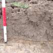 Evaluation photograph, West facing section taken from W (Trench 31), Knockroom Farm, Cumnock, East Ayrshire