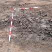 Watching Brief photograph, SI pit uncovered taken from NE, Cavalry Park, Kilsyth